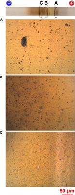 Transient submillimeter-scale periodic banding of Ag2O precipitate through reaction–transport–reaction processes